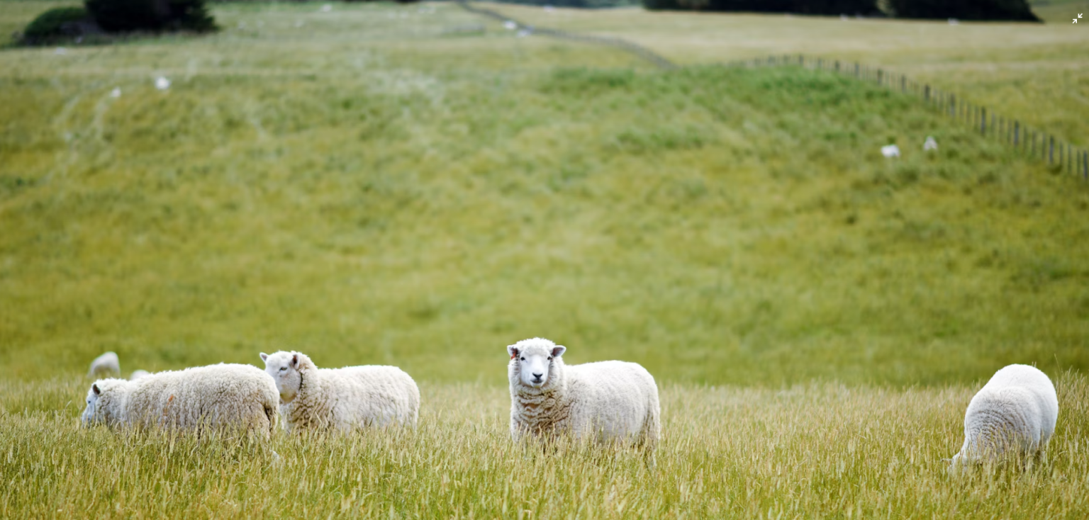 Agriculture