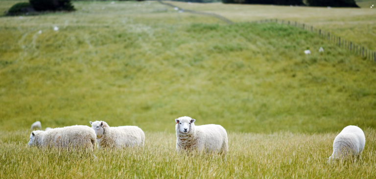 Agriculture